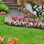 Garden & Outdoor